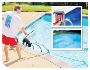 entretien piscine angers